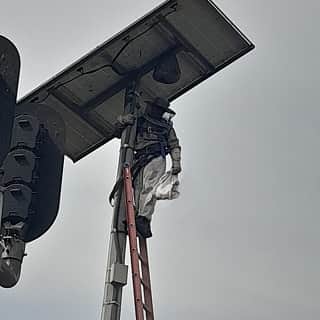 Tecnico apicultor arriba de una escalera a punto de retirar un panal de avispas en altura