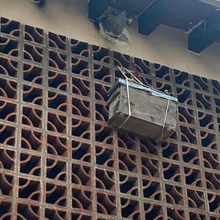 Trampa de abejas instalada en una pared, amarrada para permanecer ahí 40 dias