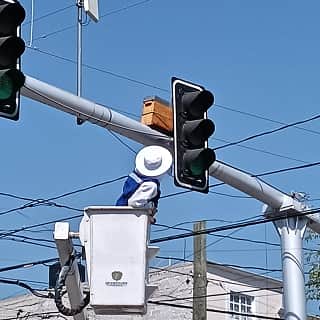Instalación de trampa para abejas alojadas en el poste del semaforo con ayuda de una grua