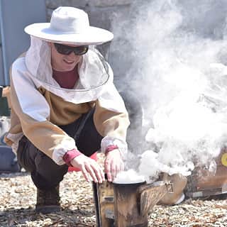 Encendiendo el ahumador para rescatar un panal de abejas